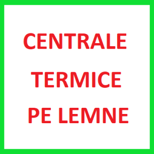 CENTRALE TERMICE PE LEMNE